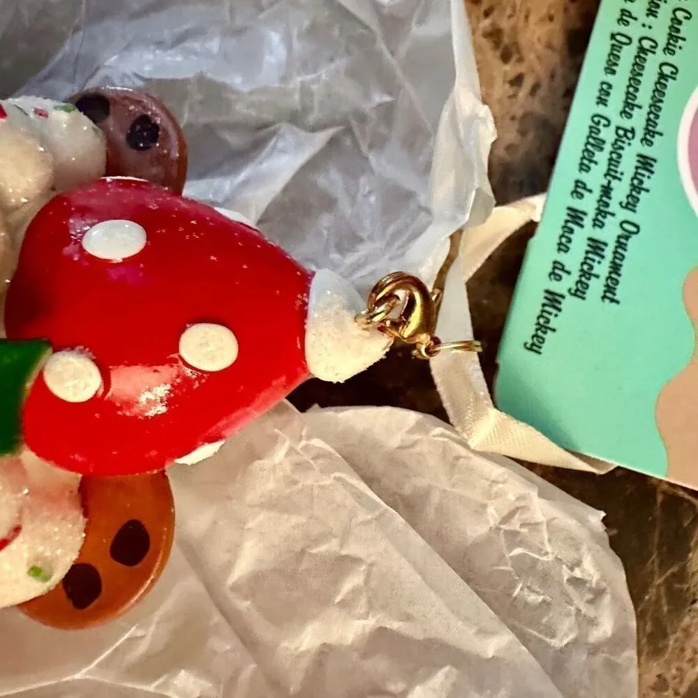 Disney ships now